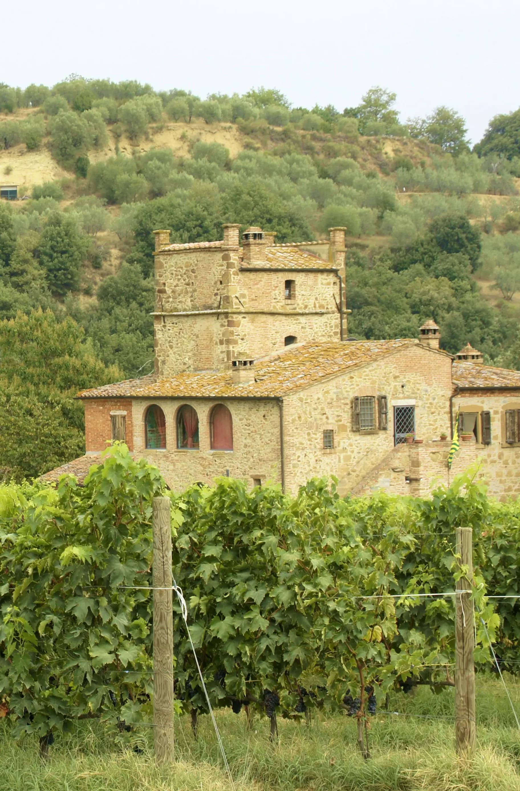 Stone villa above terraced vineyard rows