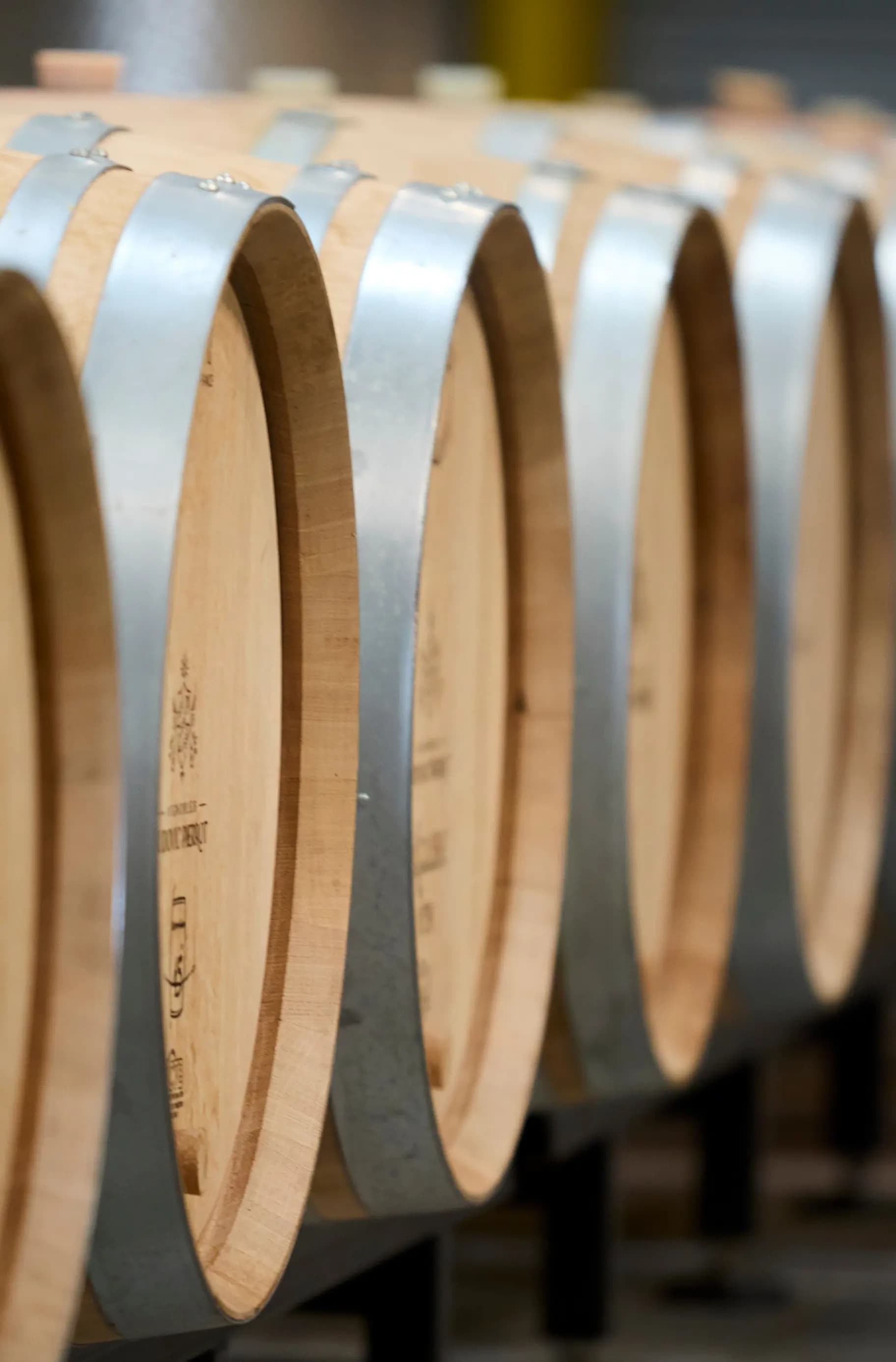Oak wine barrels resting in the cellar